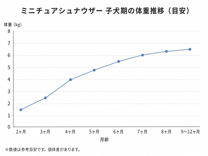 ミニチュアシュナウザーの子犬期の体重推移表