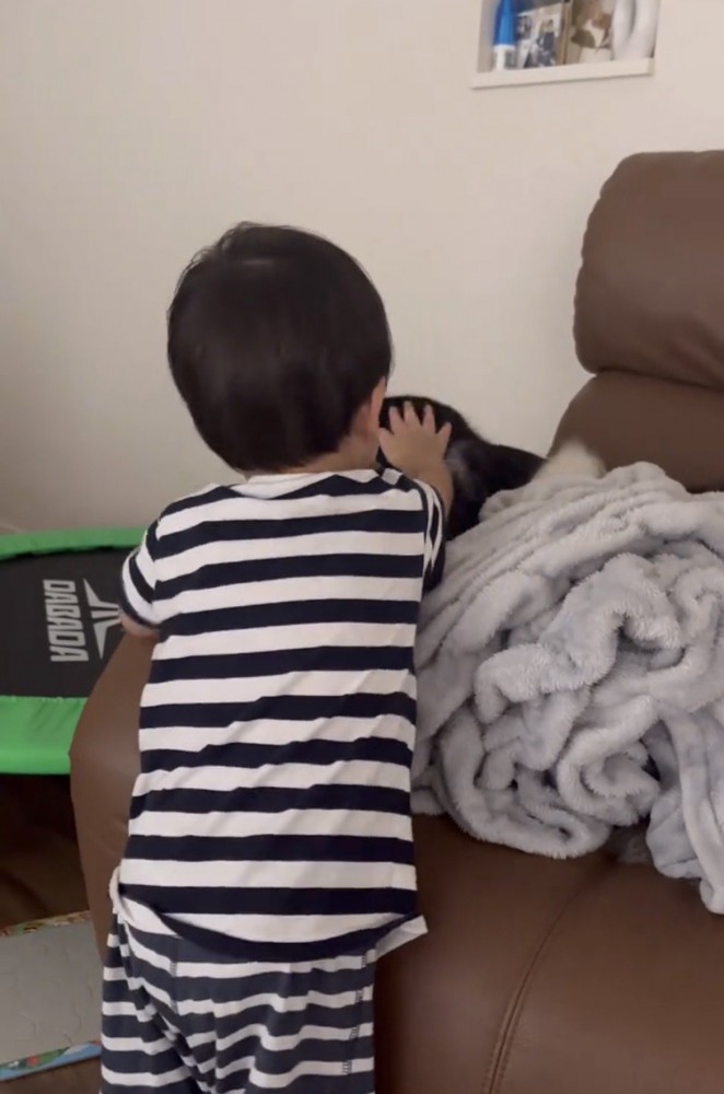 犬の頭を優しく撫でる子ども