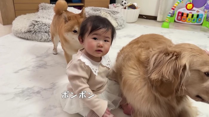 「こうかな？」