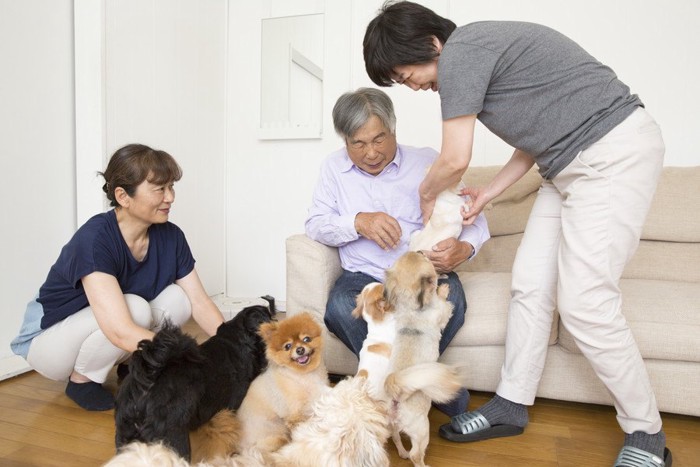 多頭飼いの犬たちと家族