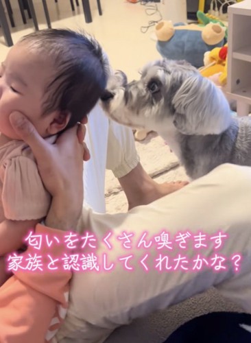 クンクン…