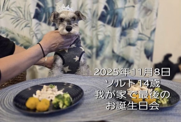 愛情と幸せがいっぱいの5377日間でした