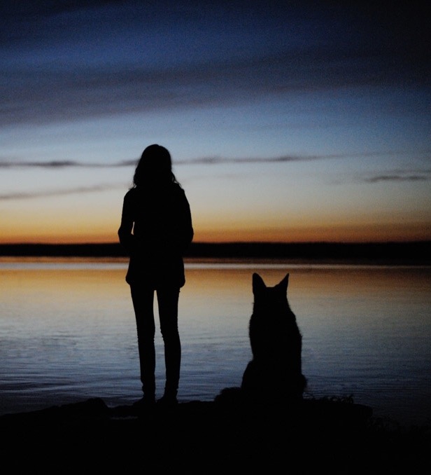 犬と女性のシルエット