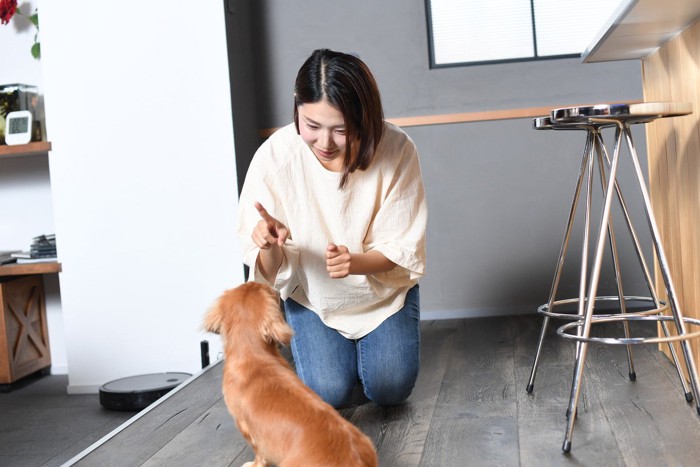 教える飼い主と犬