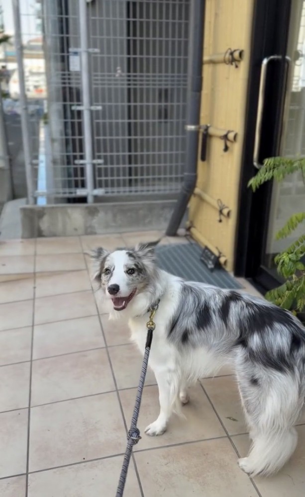 「ここでしょっ」