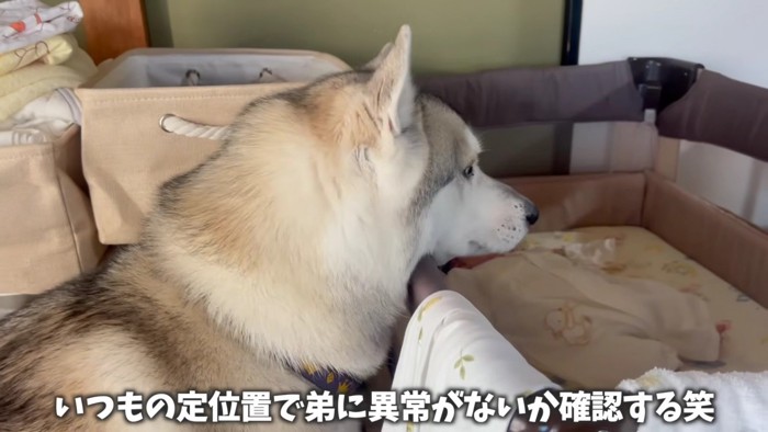 ベビーベッドを確認