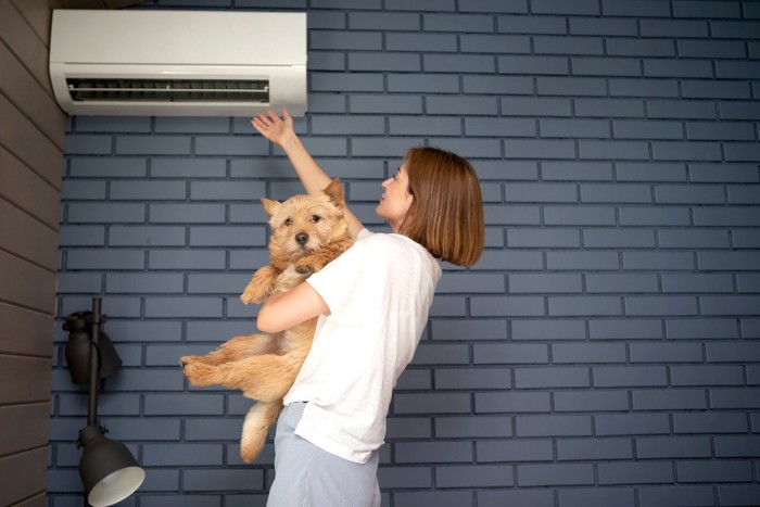 エアコンの風をあびる女性と犬