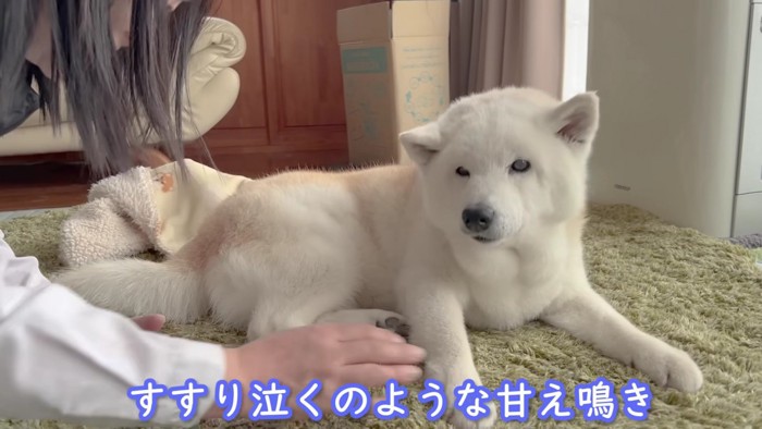 思わず切ないすすり泣き