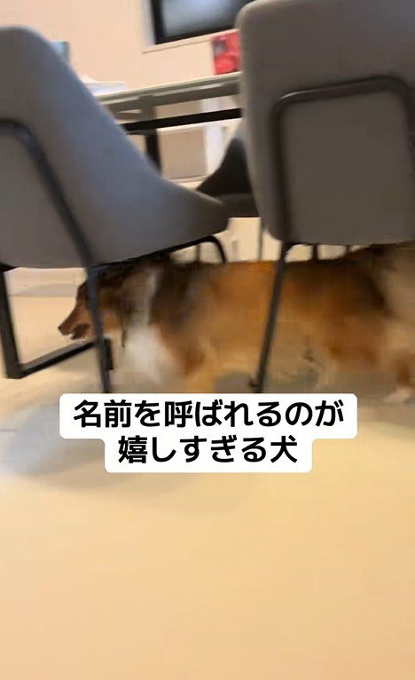 名前を呼ばれた時のリックくん9