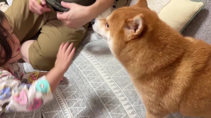 「よくがんばったね！」