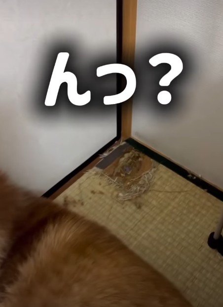 たこやきちゃんの背後が…!