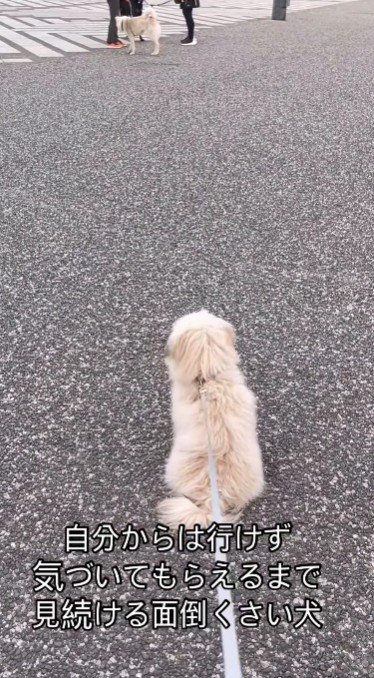 チラッ