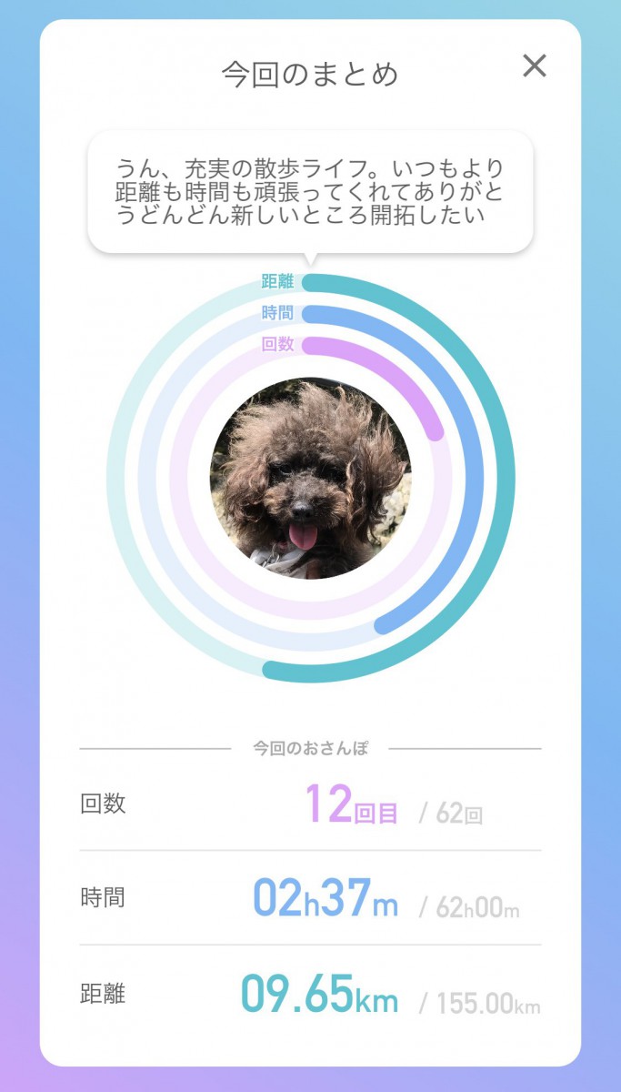 犬と暮らせばAIエマさんスクショ