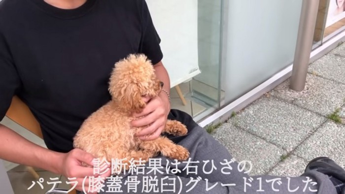飼い主さんに抱っこされるモコちゃん