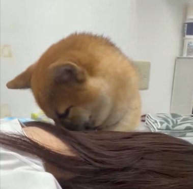 船
