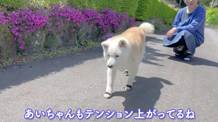 穏やかで優しい時間