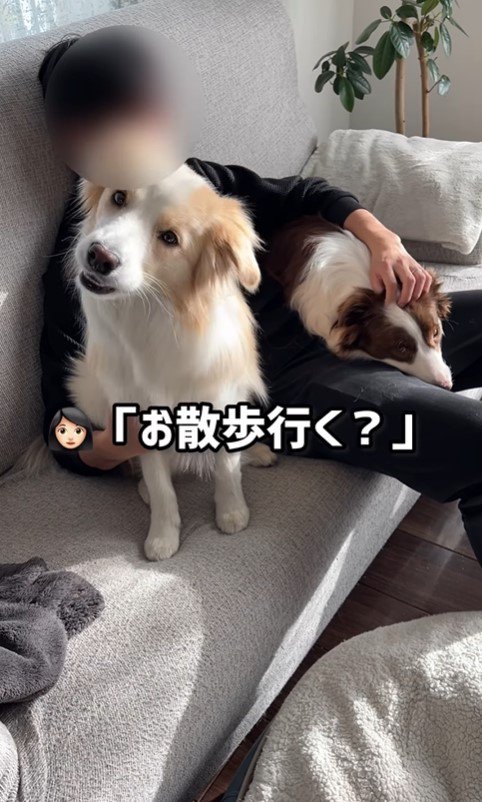 お散歩に行きたがらないルナちゃん＆アリスちゃん