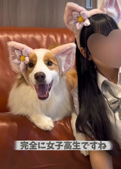 女子力高めだけれど…