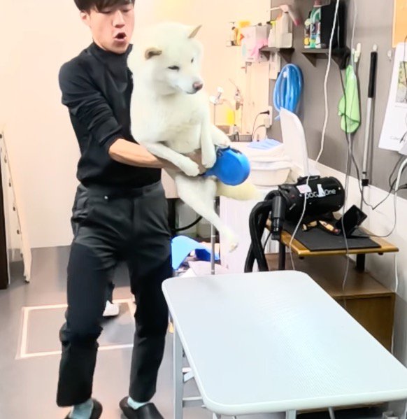 男性に抱っこされる犬