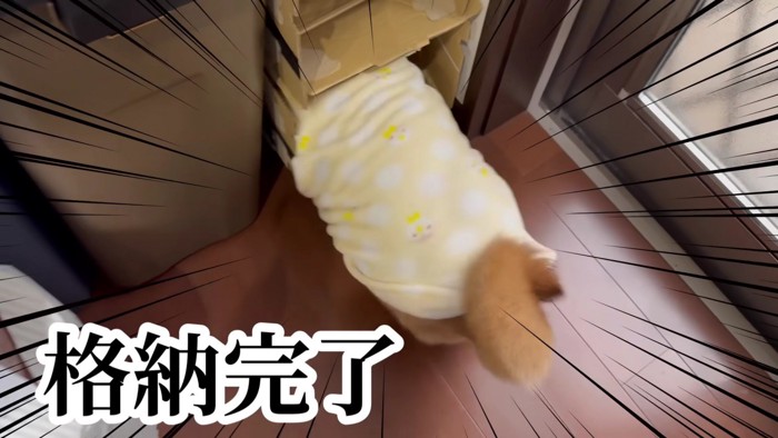 ピットイン！