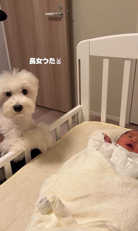 意外と平気そう♪