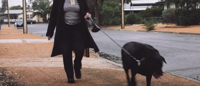 女性と散歩中の黒い犬