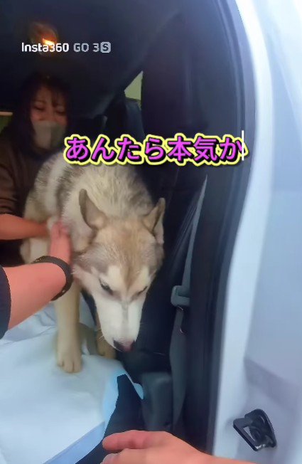 家族が決まったよ