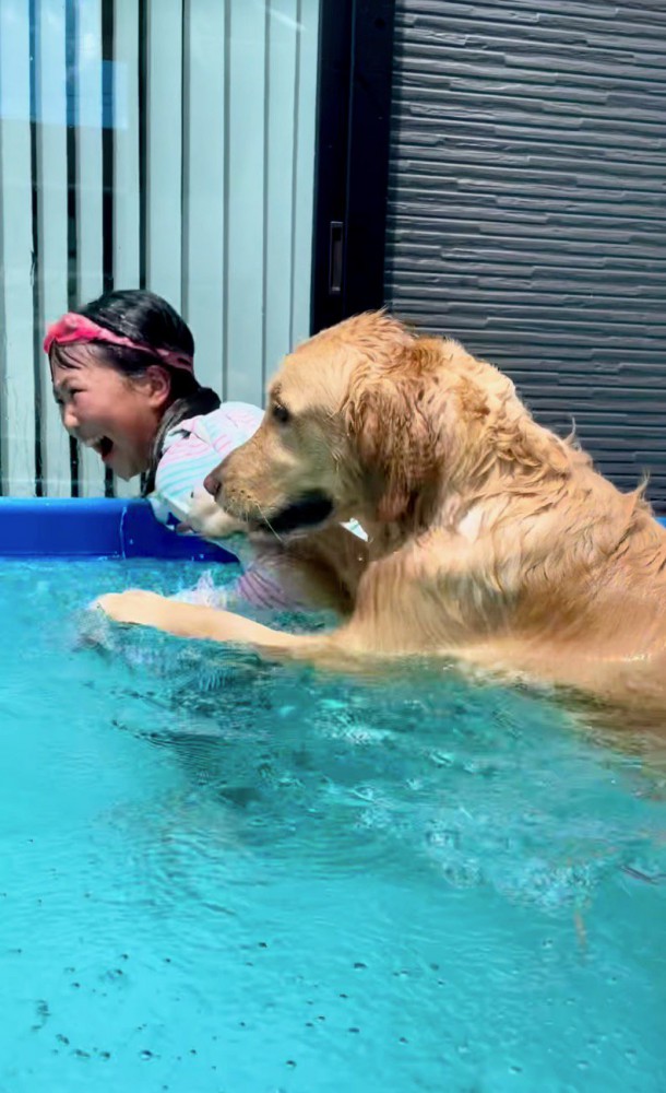 子供に抱きつく犬