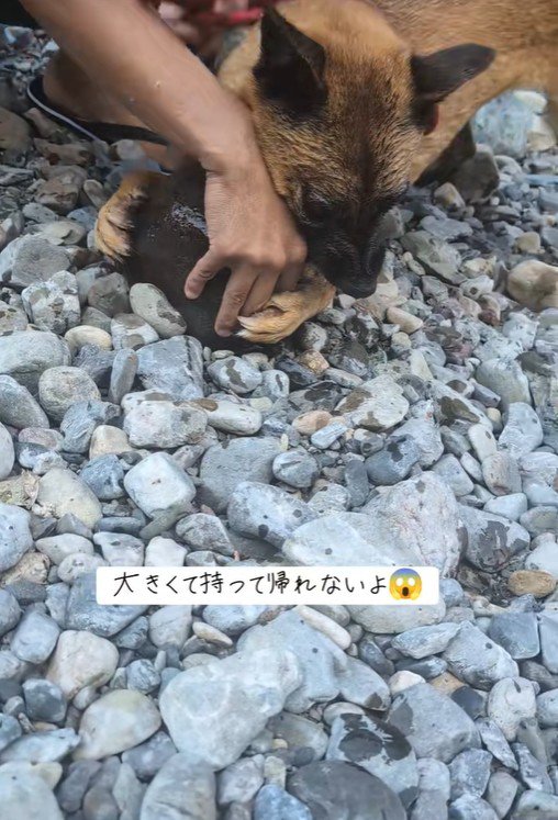 必死すぎて可愛い（笑）