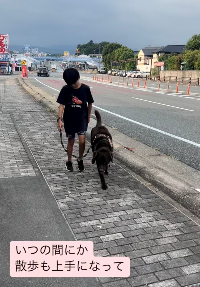 歩道で散歩する子どもと犬