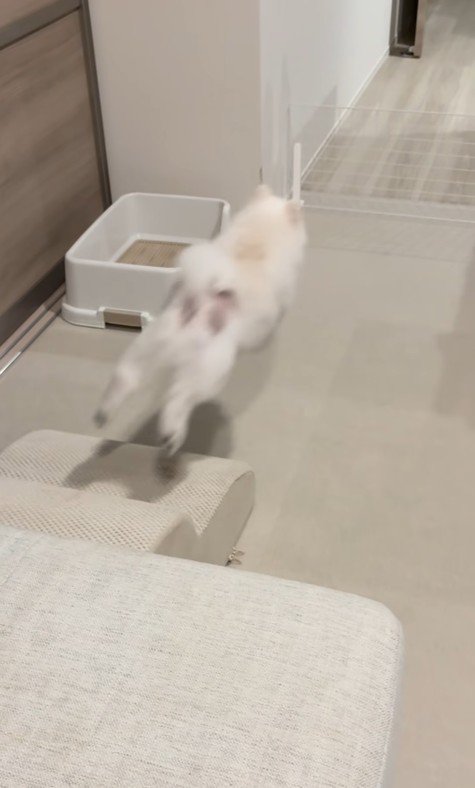 ぴょ~んっ