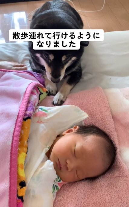 リコちゃんを見つめるミヤビちゃん