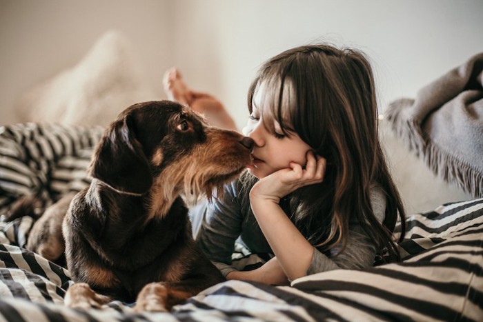 ベッドで犬とキスをする女の子