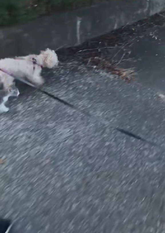 本当の家族になりました！！