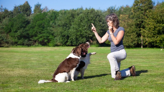 犬笛を吹く人と犬