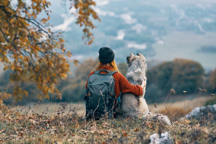 犬と女性の後ろ姿