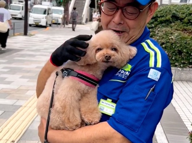 抱っこされてうっとり