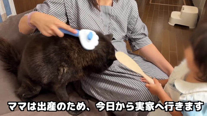 一休さんのブラッシング