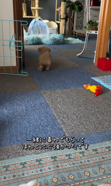 みらいちゃんが元気になるまで6