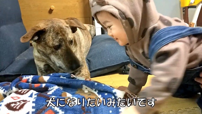 犬化する赤ちゃんとりゅうちゃん3