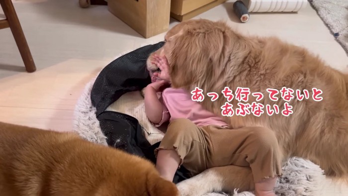 「ここは危ないよ」