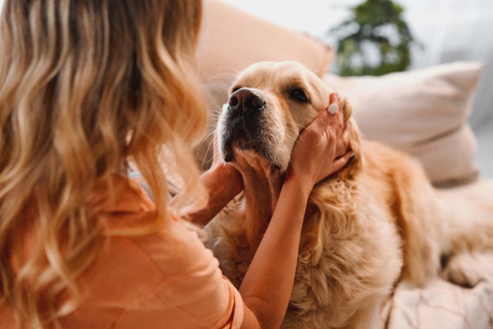 犬の顔に触れる女性