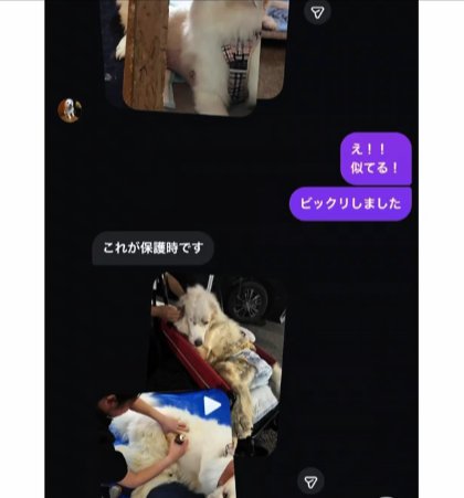 5年間