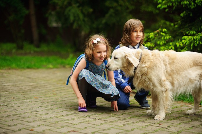 散歩中の犬を触りたい子供たち