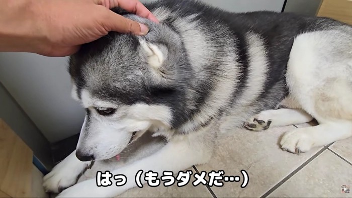 「もう限界…」