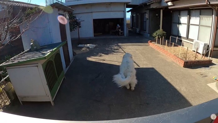 おばあちゃんのもとへダッシュ