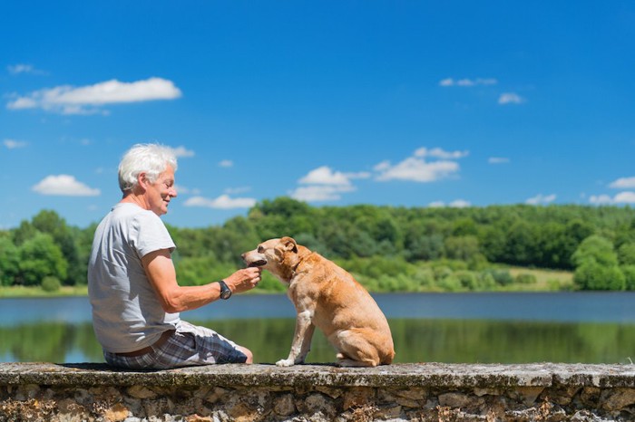 海のそばで犬と向き合うおじいさん