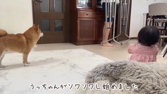 パパが何か持ってきた！！