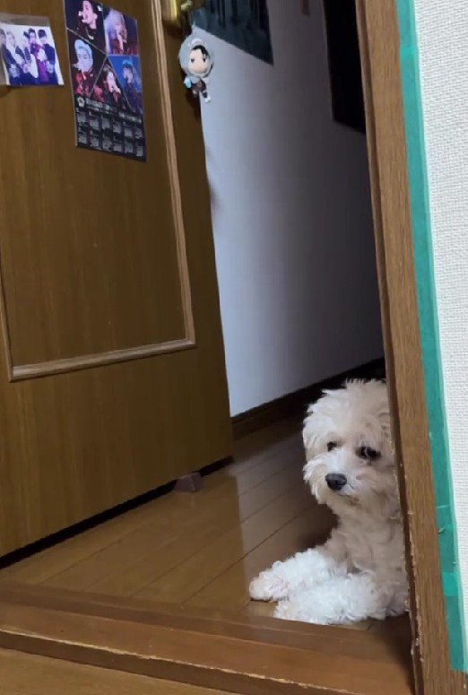 見事なジト目！！