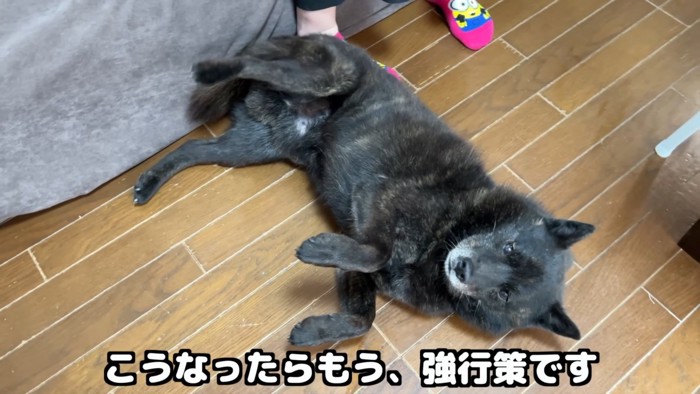 「勘弁してください～」